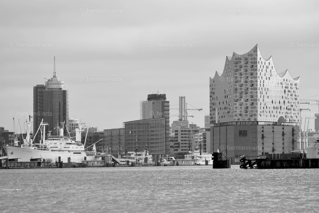 Hamurg_Arts-028 | Photo Foto Kunst Art schwarzweiss Bilder Rheine Münster Berlin Blumen 