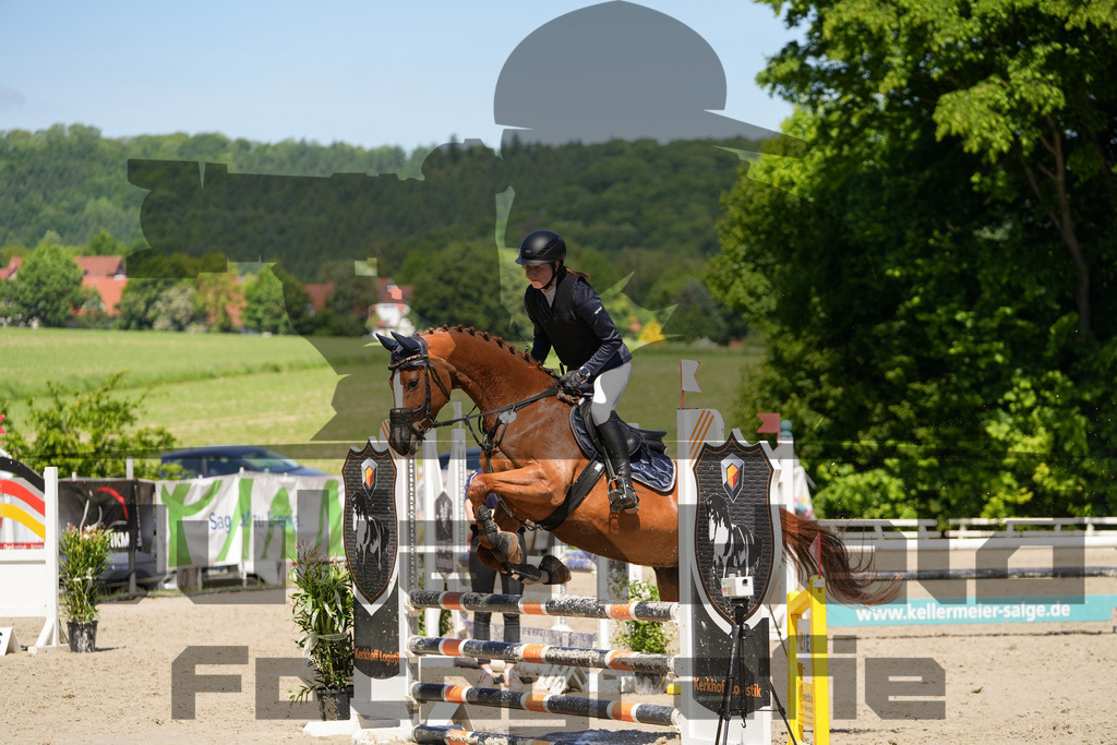 DSC02291 | Julian Held Fotografie - Realisiert mit Pictrs.com