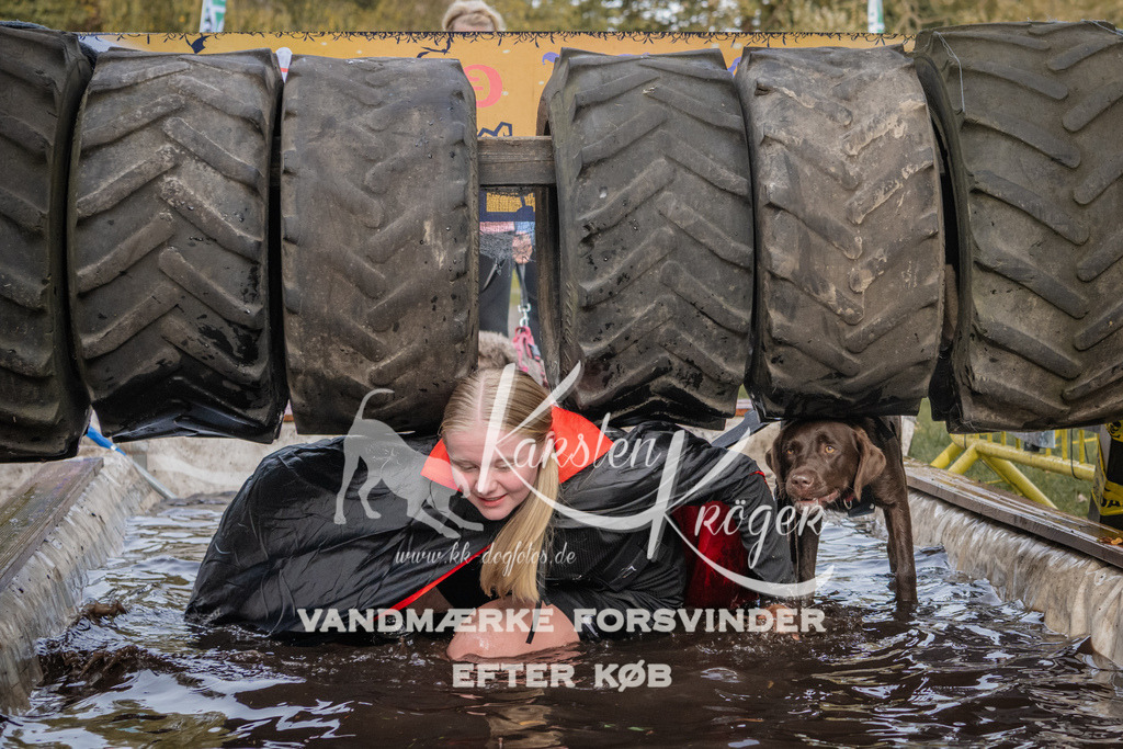 1451_ZZ90498 | kk-dogfotos