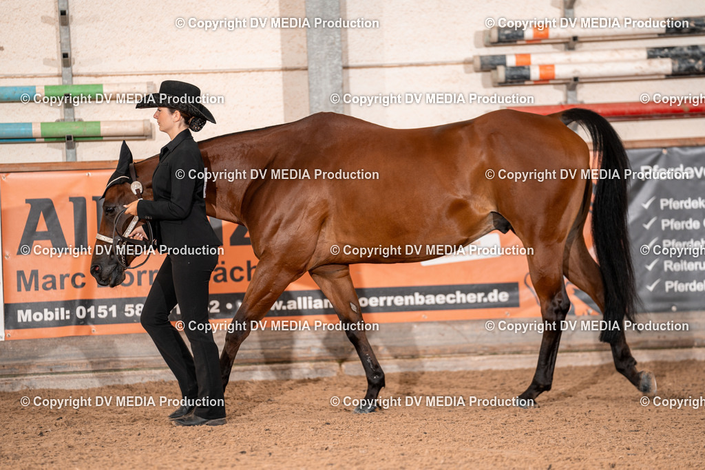 LM Heiligenwald Tag 1-04 | dv-media-shop - Realisiert mit Pictrs.com