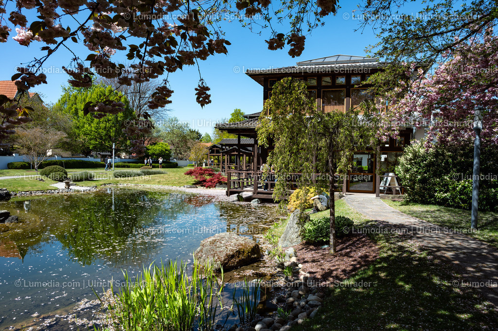 10049-14023 - Japanischer Garten in Bad Langensalza | Stockfoto und Bilderpool mit Bildmaterial aus Deutschland, dem Harz, Halberstadt, Quedlinburg, Wernigerode und weltweit. Qualitativ hochwertige und professionelle Fotos anschauen und kaufen. - Realisiert mit Pictrs.com