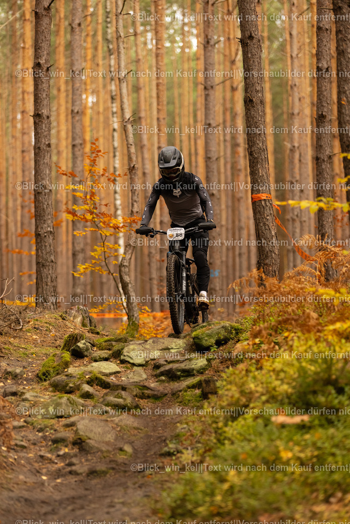 E68A2960 | blick_win_kel