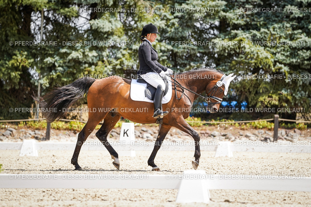 DSC01103 | Pferdegrafie