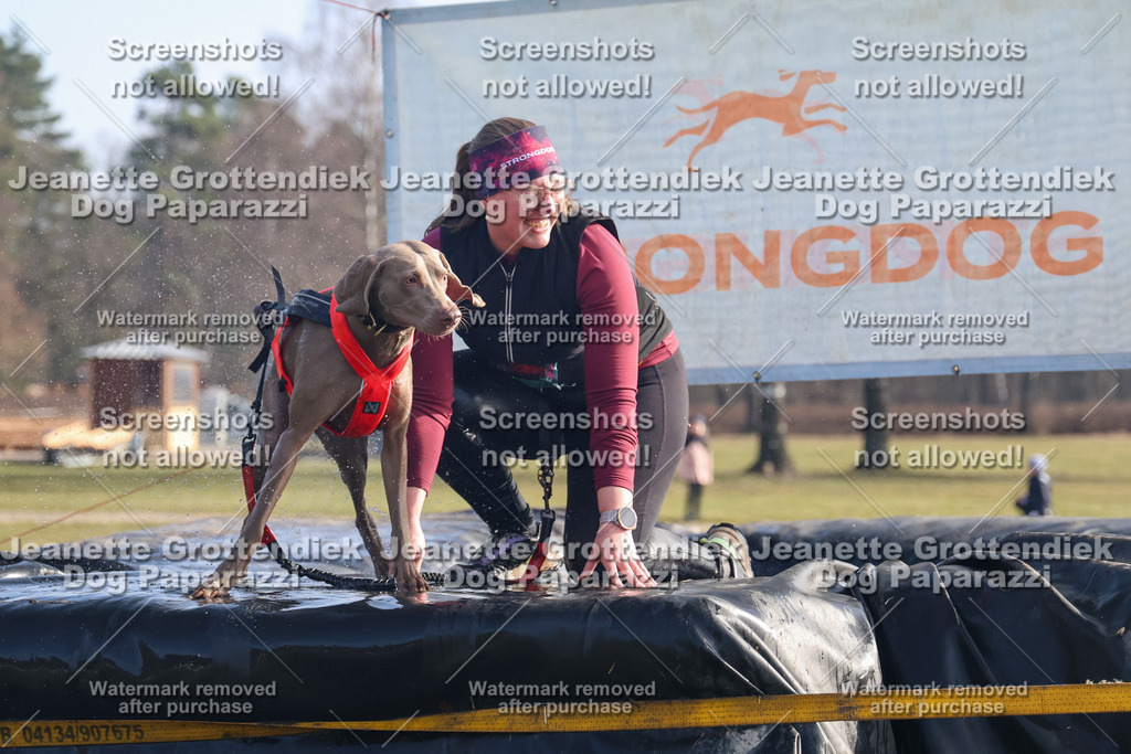 Dog Paparazzi - Strongdog North Mrz26-774 | Dog Paparazzi Jeanette Grottendiek Fotografie & Videografie - Realisiert mit Pictrs.com