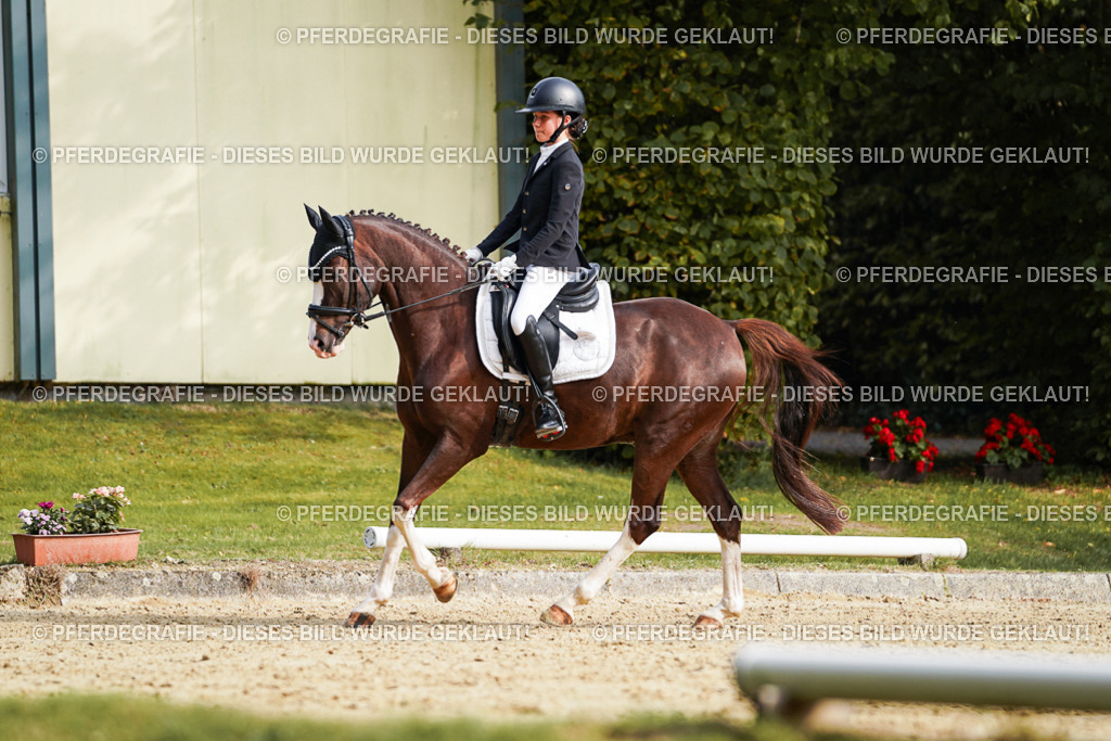 DSC05132 | Pferdegrafie