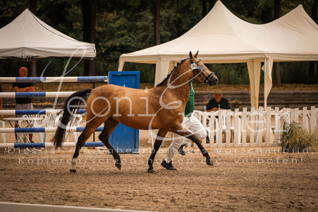 10.So00021 | Leoni Ertmer Photography - Realisiert mit Pictrs.com