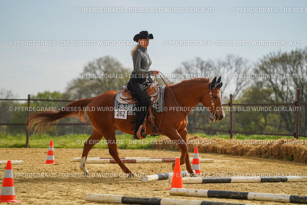 DSC01923 | Pferdegrafie