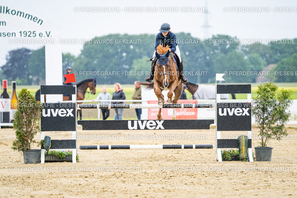 DSC07937 | Pferdegrafie