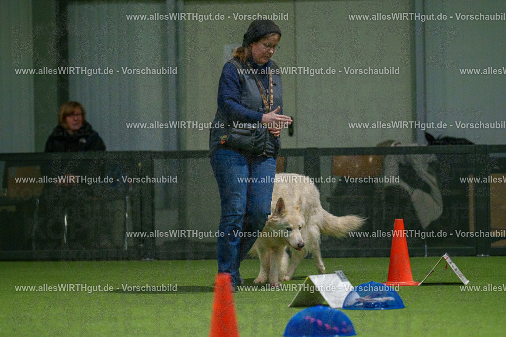 7R504204 | Professionelle Tierfotografie in Mönchengladbach von Daniel Wirth (allesWIRTHgut). Liebevolle & natürliche Bilder von Hunden & Katzen für unvergessliche Erinnerungen.