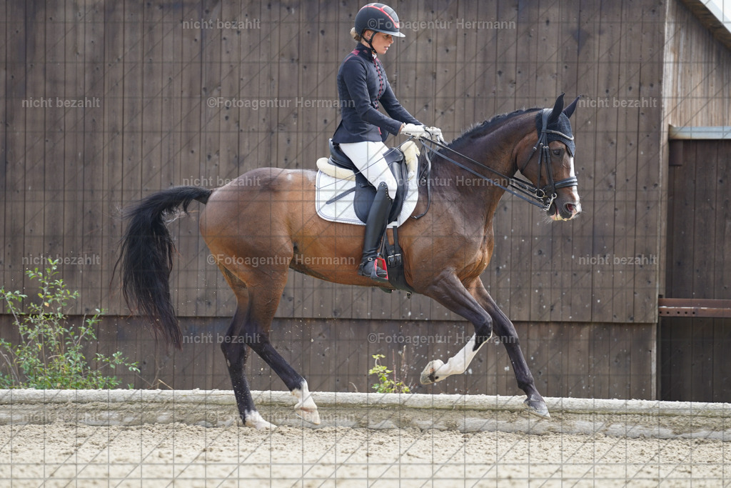 20230826-FAH06001 | Forstinning, 2023, Dressurturnier, Turniersportbilder, Turnierfotografen Bayern, Fotoagentur Herrmann, Reitsportfotografie, Turnierbilder