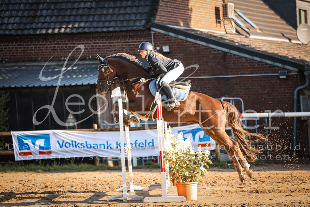 18.SoSpA100152 | Leoni Ertmer Photography - Realisiert mit Pictrs.com