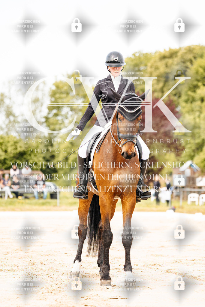 CK900810 | Turnierfotografie Pferdefotografie Trier Rheinland-Pfalz Pferdesport Reitsport Tierfotografie Sportfotografie Pferdevideo Pferdevideografie Equestrianvideography equestrianphotography  - Realisiert mit Pictrs.com