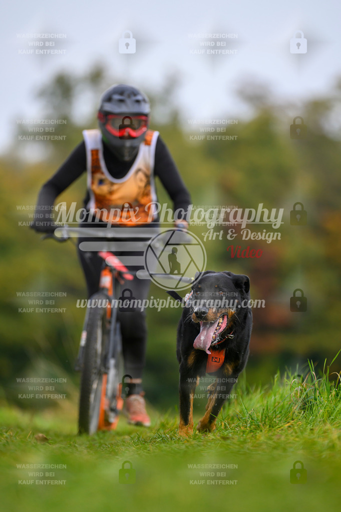 MompixPhotography_CDLBDB2025_DI_DS-89 | PayLife