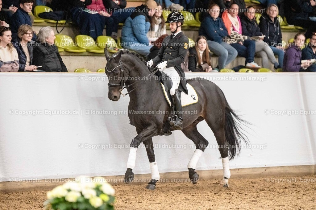 20260307_Hengstvorstellung-Marbach_0466 | equistock
