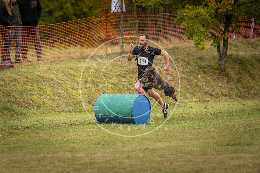 Pfotenfotografie_DV3A5955 | Hundefotografie, Tierfotograf, Pfotenfotografie, Fotoshooting Hund, Hunde Portrait, Hundesport, Hundeportraits, Heideshooting, Hunde, Sportfotograf, Hundefotograf, Turnierhundsport, THS,  - Realisiert mit Pictrs.com