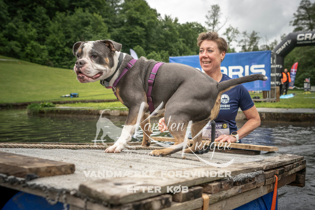 1014_ZZ95269 | kk-dogfotos