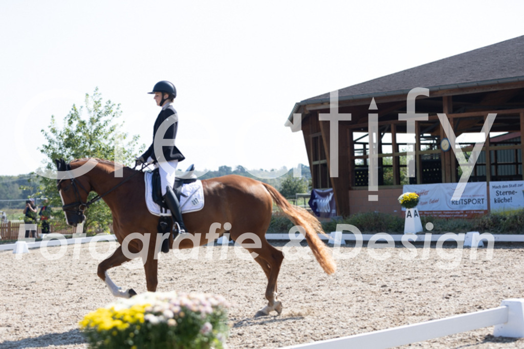 IMG_4350 | Creatify Fotografie