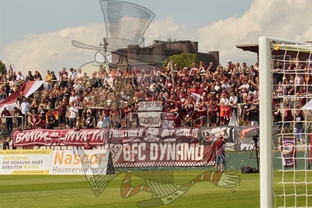 BFC Dynamo vs. ZFC Meuselwitz 037 | mythos-online-redaktion