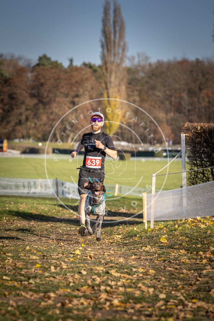 CaniXpix_DV3A0278 | Hundefotografie, Tierfotograf, Pfotenfotografie, Fotoshooting Hund, Hunde Portrait, Hundesport, Hundeportraits, Heideshooting, Hunde, Sportfotograf, Hundefotograf, Turnierhundsport, THS,  - Realisiert mit Pictrs.com