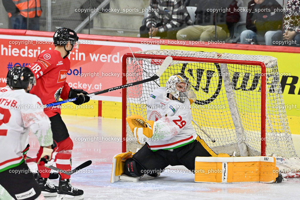 Österreich vs. Ungarn 14.12.2023 | Österreich vs. Ungarn 14.12.2023, Österreich vs. Ungarn  am 14.12.2023 in Klagenfurt (Heidi Horten Arena), Austria, (Photo by Bernd Stefan)