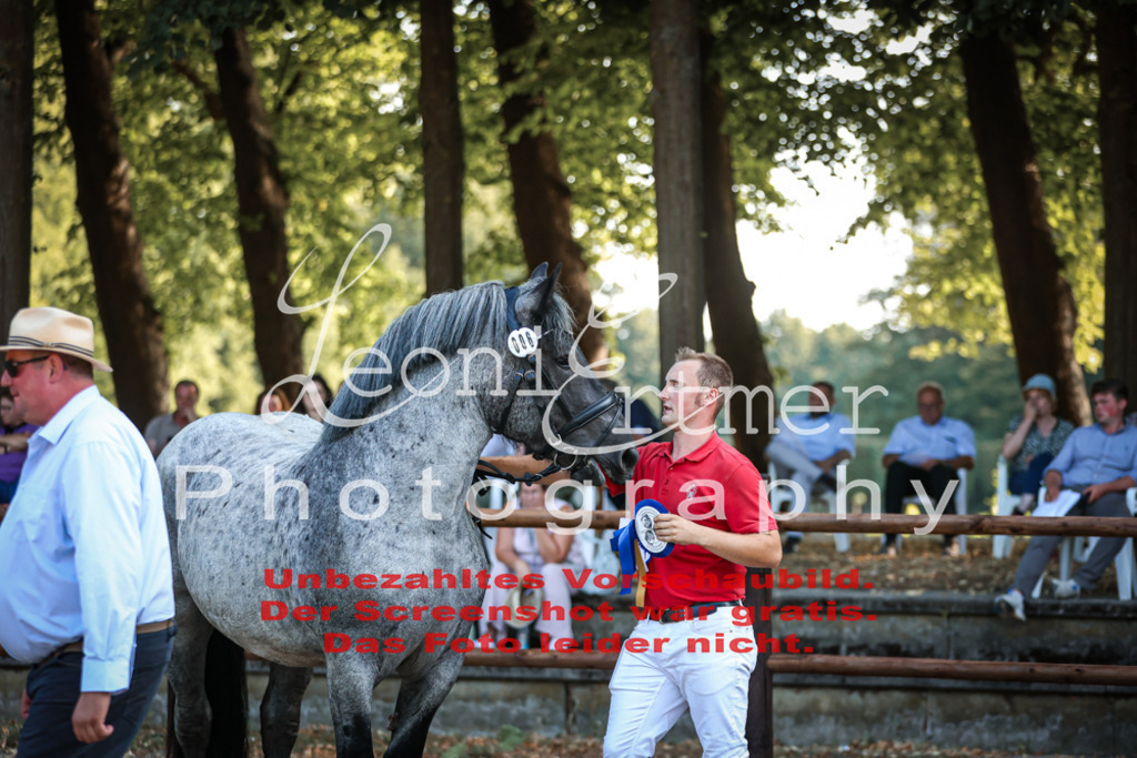 Fr3K00072 | Leoni Ertmer Photography - Realisiert mit Pictrs.com