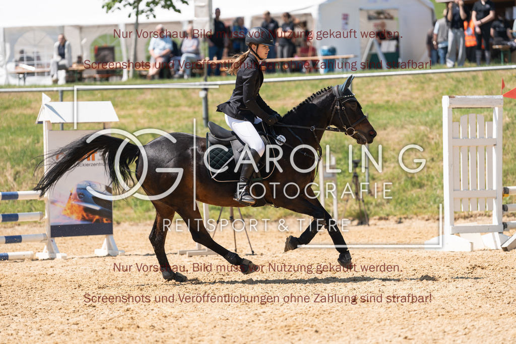 DSC04398 | Springturnier_Ehingen_Mai_2026, Jamila_Unsöld, Abigale_D