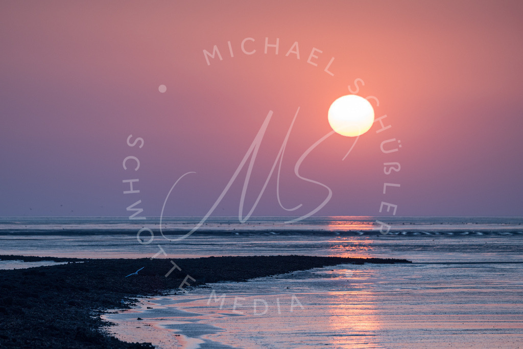 2024-09-05 Friedrichskoog Trischendamm Sonnenuntergang 019 | Schwotte Media - Realisiert mit Pictrs.com