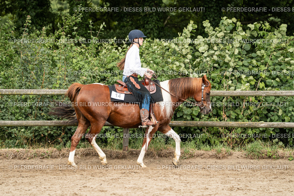 DSC03915 | Pferdegrafie