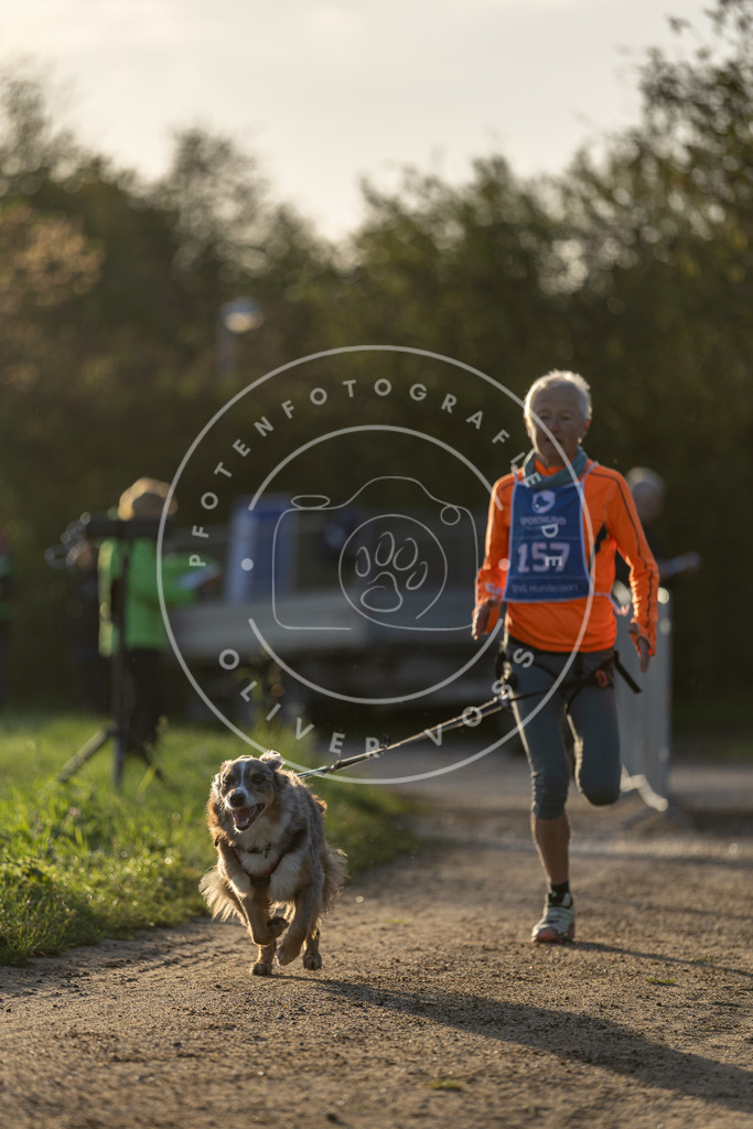 Pfotenfotografie.de_DV3A2591 | Hundefotografie, Tierfotograf, Pfotenfotografie, Fotoshooting Hund, Hunde Portrait, Hundesport, Hundeportraits, Heideshooting, Hunde, Sportfotograf, Hundefotograf, Turnierhundsport, THS, canicross - Realisiert mit Pictrs.com
