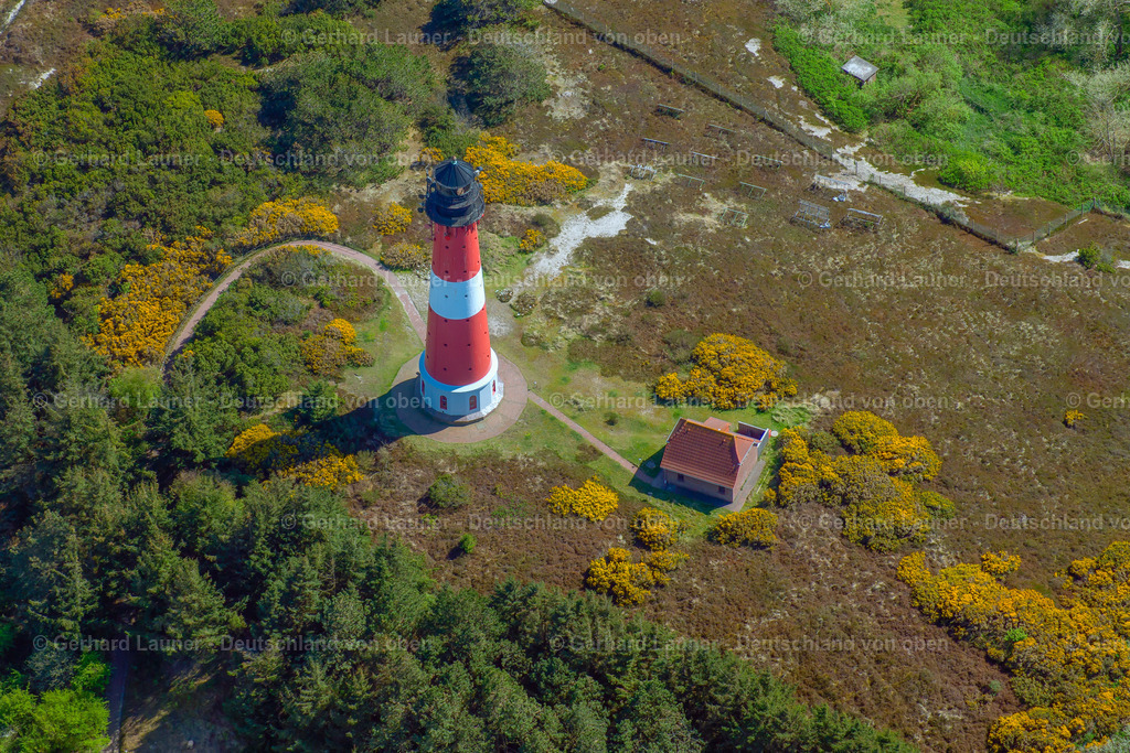 3801830 | Leuchtturm, Hörnum, Sylt
