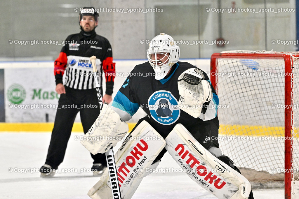 Lendhafen Seelöwen vs. Spartans Althofen | #37 Juch Lukas Lendhafen Seelöwen, Lendhafen Seelöwen vs. Spartans Althofen, Lendhafen Seelöwen vs. Spartans Althofen am 14.02.2025 in Ferlach (HTC Eishalle Ferlach), Austria, (Photo by Bernd Stefan)