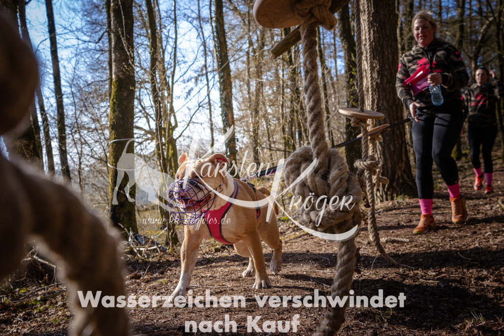 0921_ZZ97500 | kk-dogfotos
