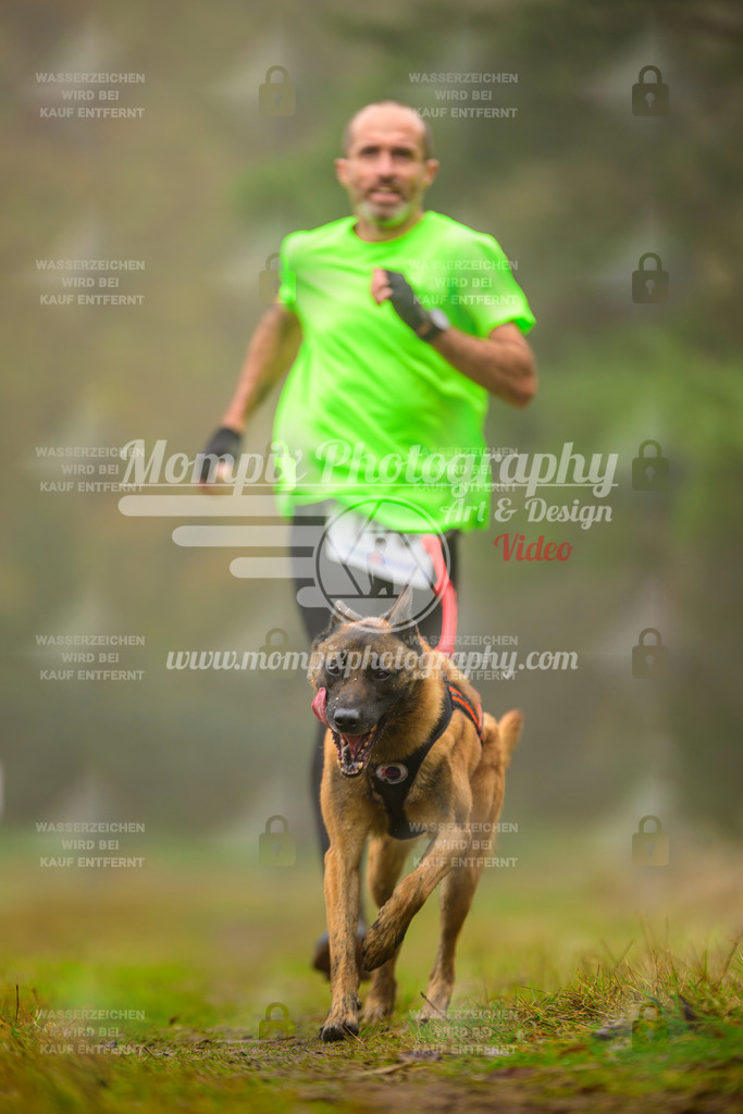 MompixPhotography_Bischwiller2025_Canicross-150 | mompixphotography