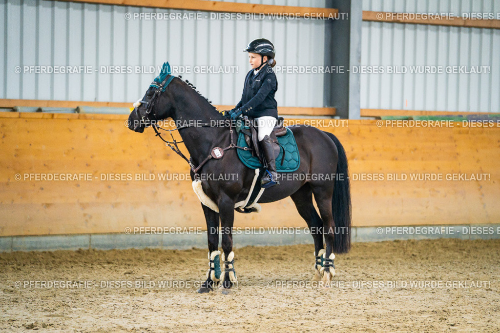 DSC00518 | Pferdegrafie