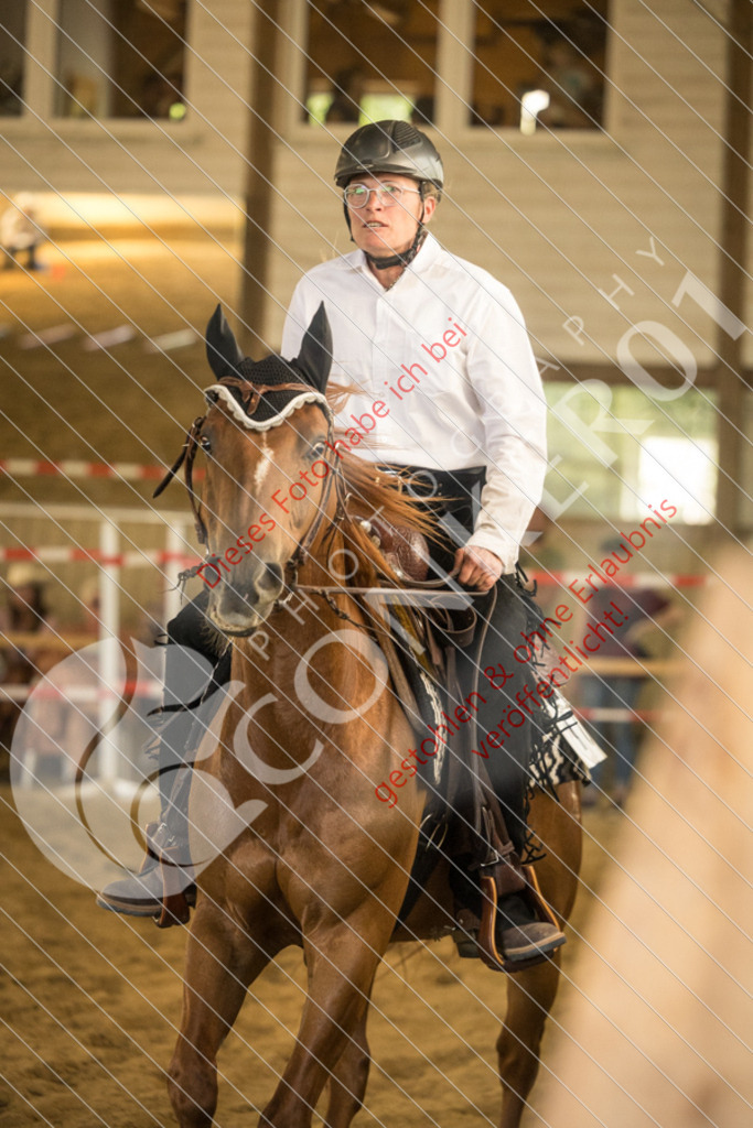 IMG_1611 | Sport-, Event- und Tierfotos in Profiqualität. Einfach auswählen, bestellen und herunterladen. Dein Moment – perfekt festgehalten.