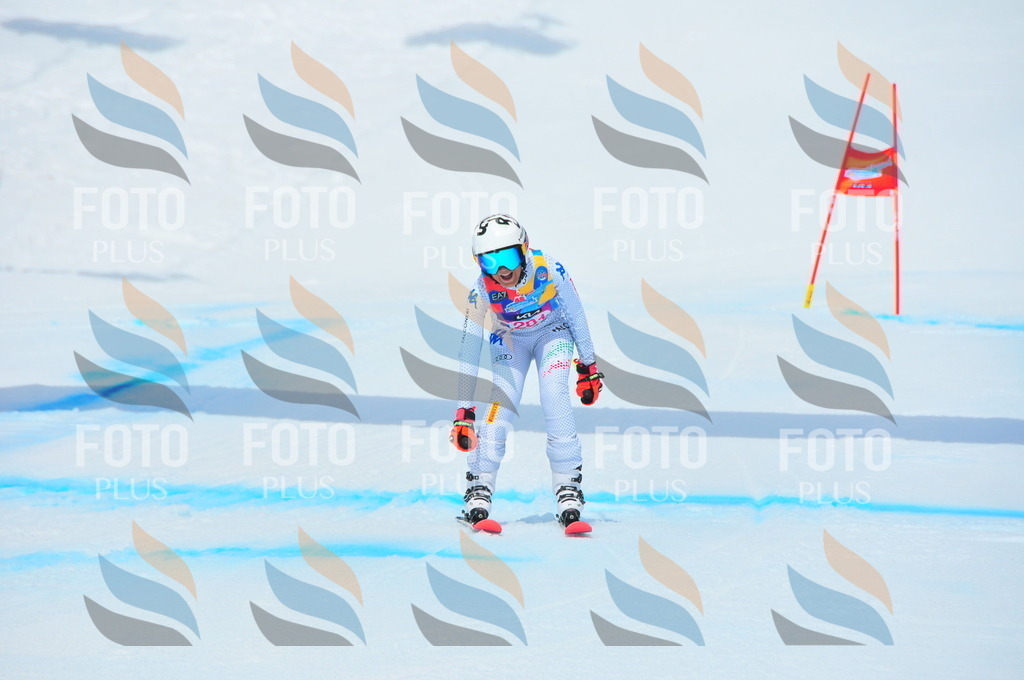 DSC_6364 | holidayphoto