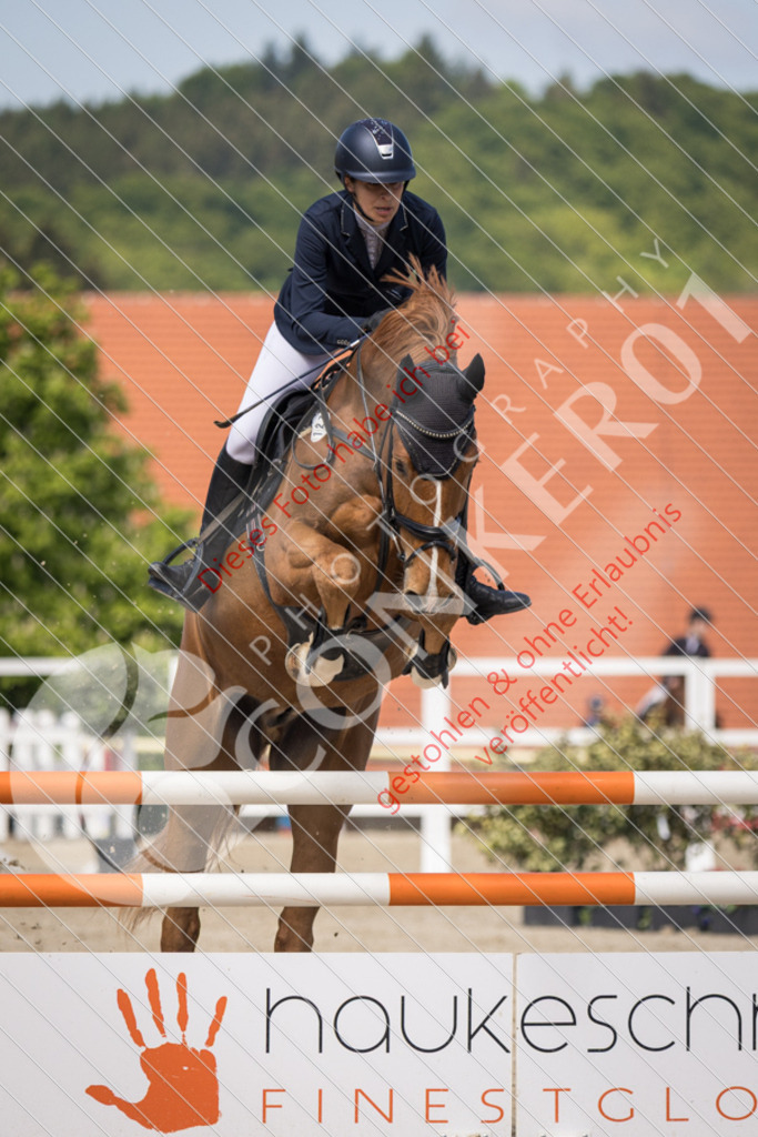 IMG_4765 | Sport-, Event- und Tierfotos in Profiqualität. Einfach auswählen, bestellen und herunterladen. Dein Moment – perfekt festgehalten.