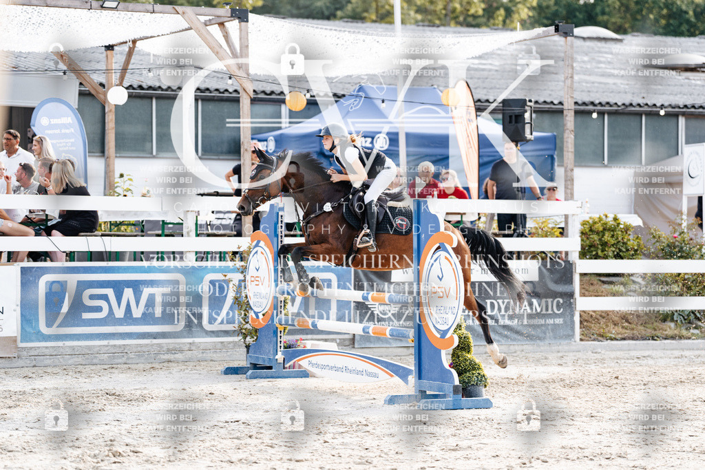 CK906986 | Turnierfotografie Pferdefotografie Trier Rheinland-Pfalz Pferdesport Reitsport Tierfotografie Sportfotografie Pferdevideo Pferdevideografie Equestrianvideography equestrianphotography  - Realisiert mit Pictrs.com