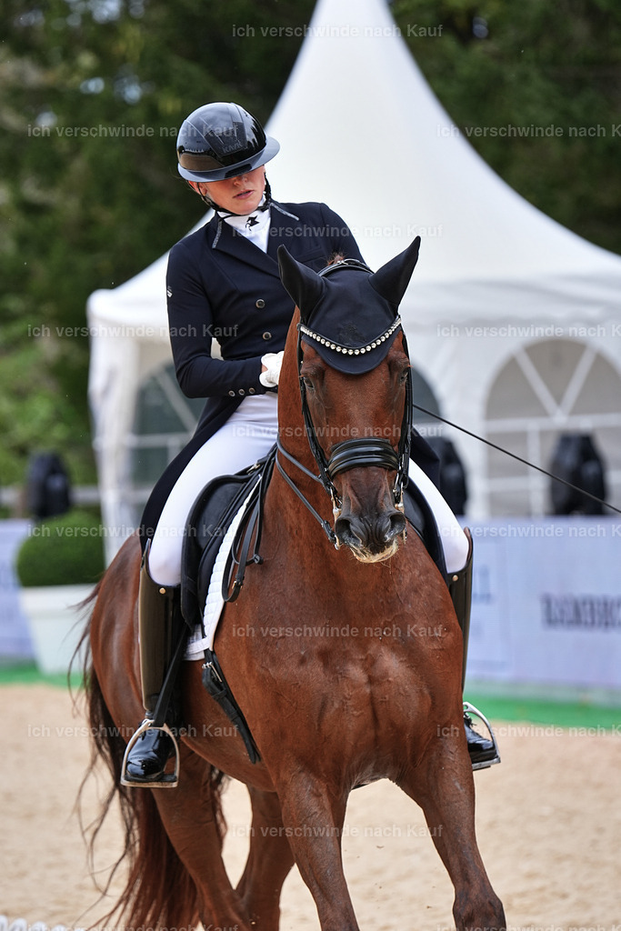 11-141-Dressur S___-Marixx-1850 | working equitationturnier fotograf videograf stoibphotography marixx film working equitation deutschland reitsport turnierfotografie eventfotografie equestrian events