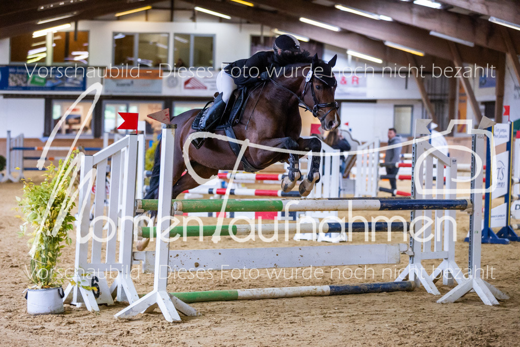 Sth-A-Springen-065 | MomenTaufnahmen Pferdesportfotos