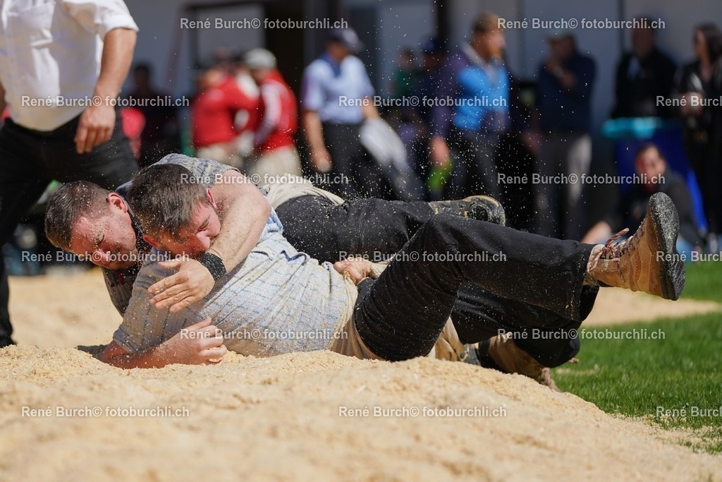 20220418-DSC07476 | René Burch leidenschaftlicher Fotograf aus Kerns in Obwalden.  Hier finden sie Sport, Landschaft und Natur Fotografie.
 - Realisiert mit Pictrs.com