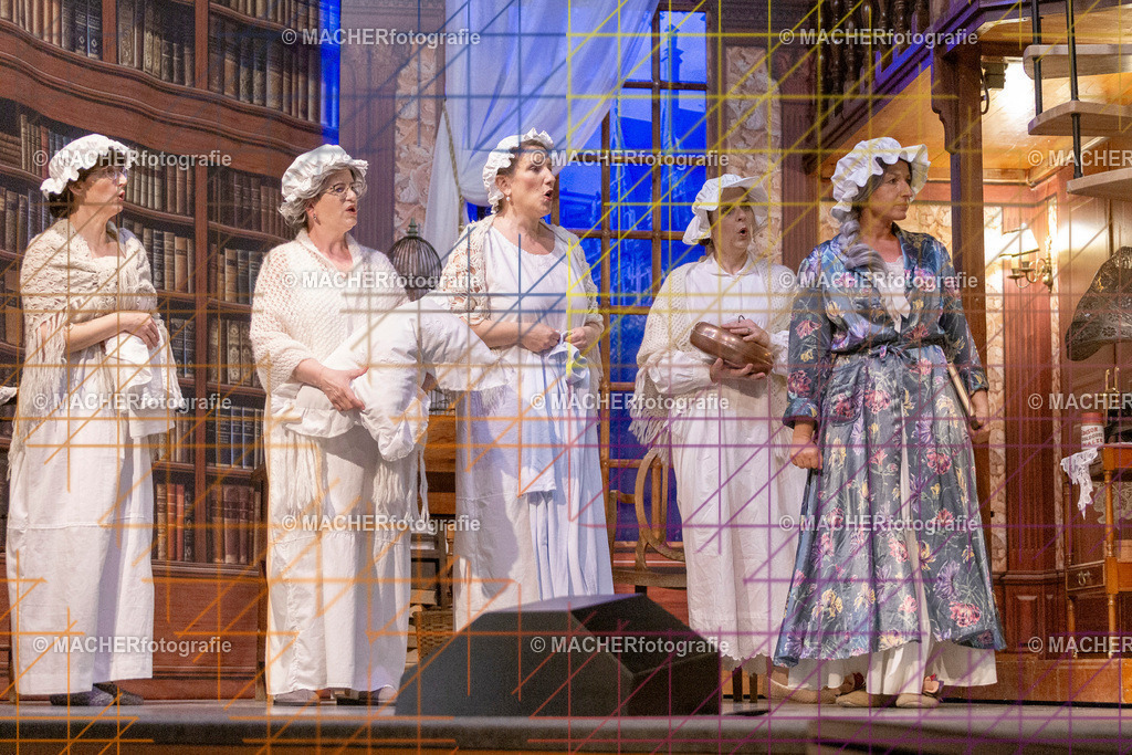 232_MFL-2025 | Portraitbilder von Regisseur; Darsteller; Techniker; Maske; Kostüme; Chor; Musiker; Bilderserie der Generalprobe und der Premierenvorstellung, Szenenbilder; Ausdrucksstudien; Bühnenüberblick; Bühnenkulissen; Pressefotos inkl. Redaktionsfoto Darstellergruppe.