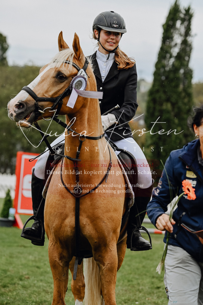 DSC_7100 | Pferde- und Turnierfotografie in Westsachsen. Pferdeportraits, Auftragszeichnungen und intuitive Kunst.
