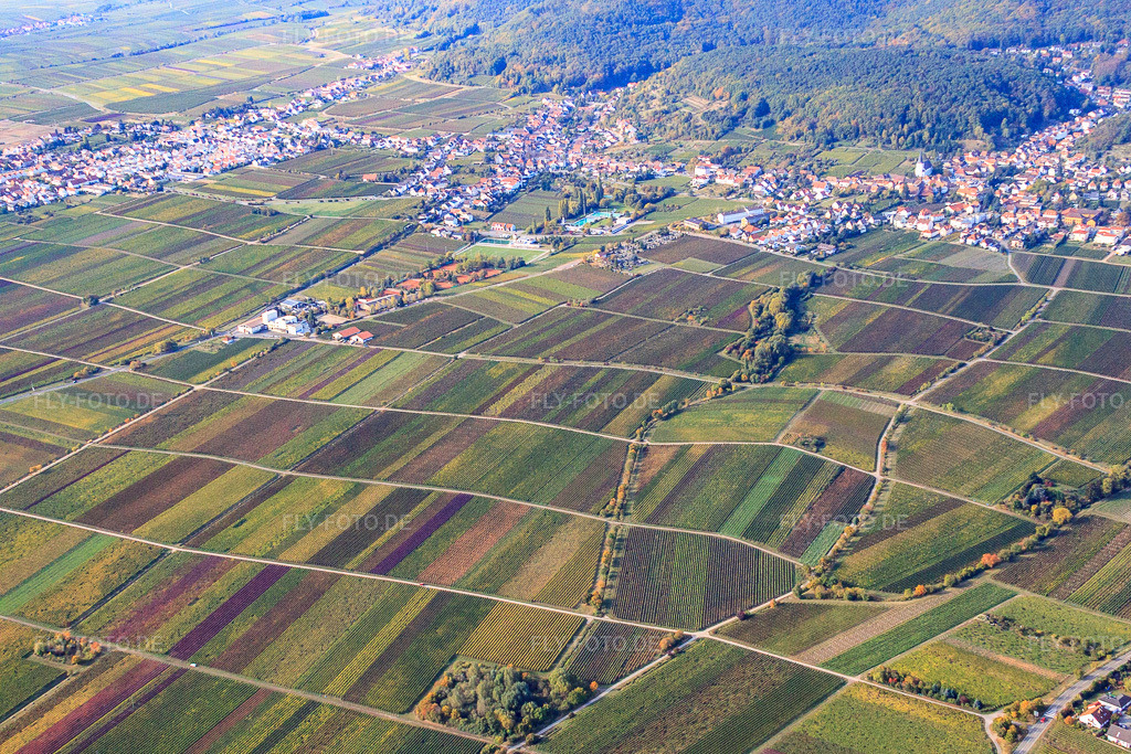 Luftbild: Vinothek Platz am Horstweg im Ortsteil Hambach an der Weinstraße in Neustadt im Bundesland Rheinland-Pfalz in Deutschland. Foto: IMG_22081.jpg vom 15.10.2009 durch Werner Riehm/FLY-FOTO.de