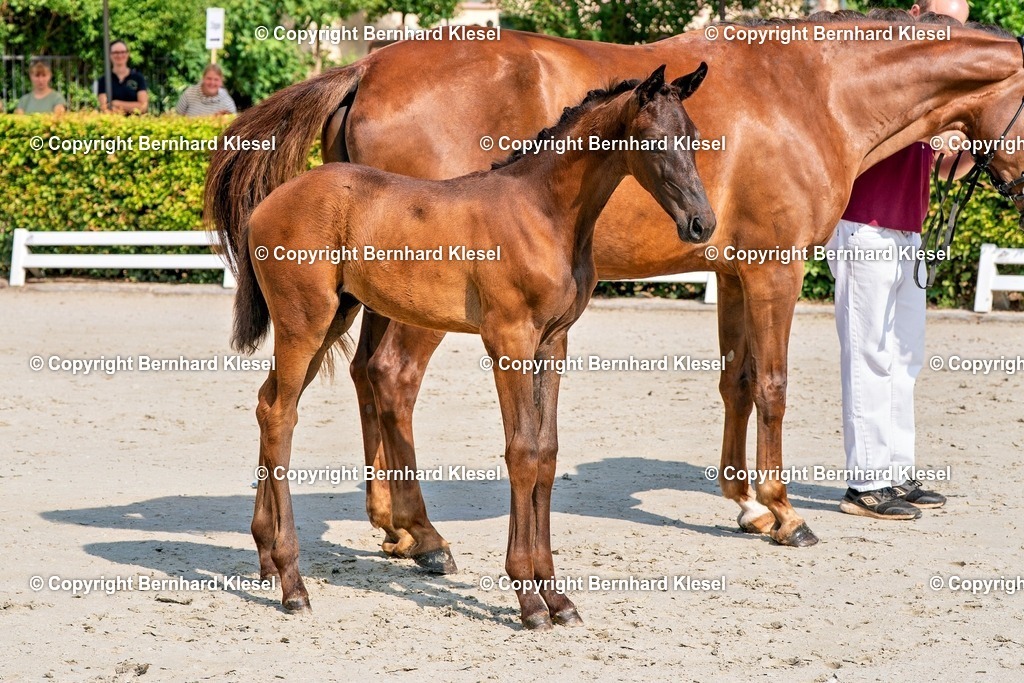 2A908855 | foto-team-bernhard - Realisiert mit Pictrs.com