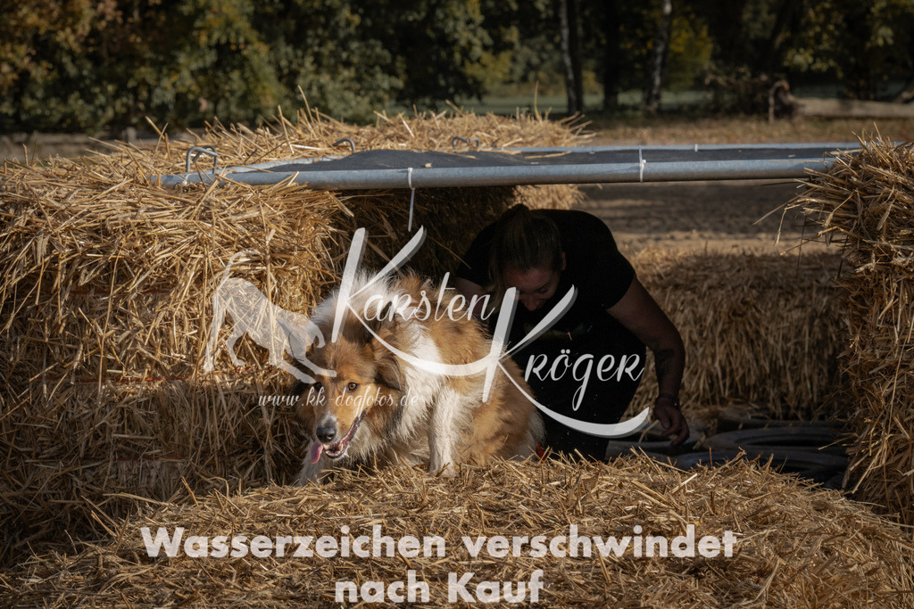 1035_ZZ98878 | kk-dogfotos