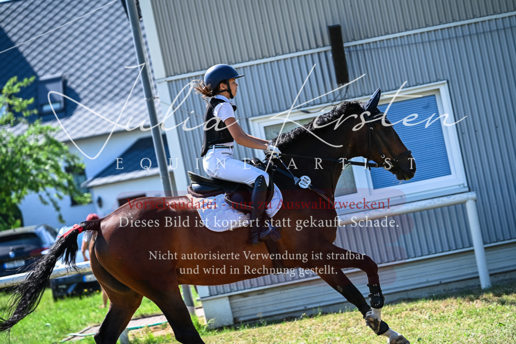 DSC_1379 | Pferde- und Turnierfotografie in Westsachsen. Pferdeportraits, Auftragszeichnungen und intuitive Kunst.