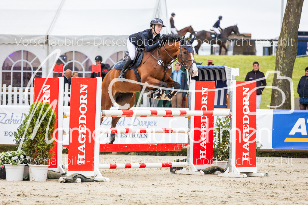 BHO-2PhSpr-M-217 | MomenTaufnahmen Pferdesportfotos