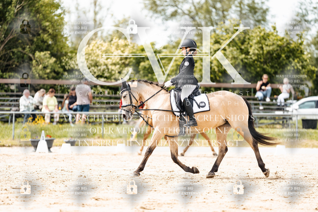 CK902463 | Turnierfotografie Pferdefotografie Trier Rheinland-Pfalz Pferdesport Reitsport Tierfotografie Sportfotografie Pferdevideo Pferdevideografie Equestrianvideography equestrianphotography  - Realisiert mit Pictrs.com