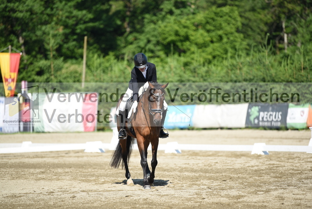 DSC_7181 | equestrian-live-com
